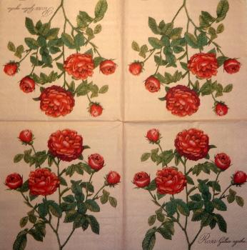 084 Rosen - 3-lagig( hell brombeer) - Atelier